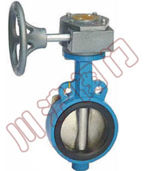 D371x软密封对夹蝶阀