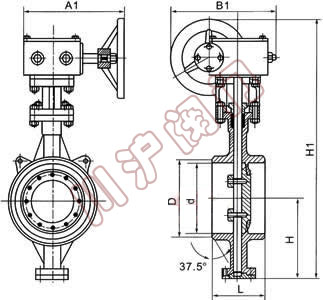 对焊蝶阀,结构图